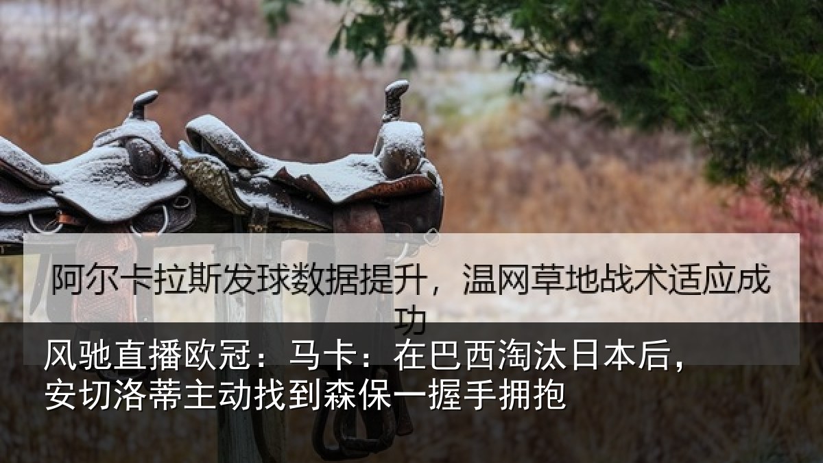 风驰直播欧冠:马卡:在巴西淘汰日本后,安切洛蒂主动找到森保一握手拥抱