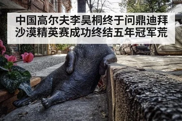 中国高尔夫李昊桐终于问鼎迪拜沙漠精英赛成功终结五年冠军荒